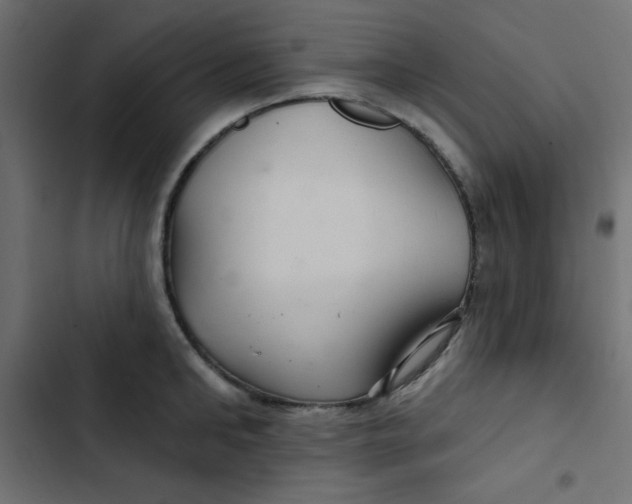 X0000103320902200809261133