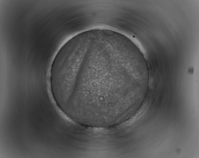 X0000103320903200809261133