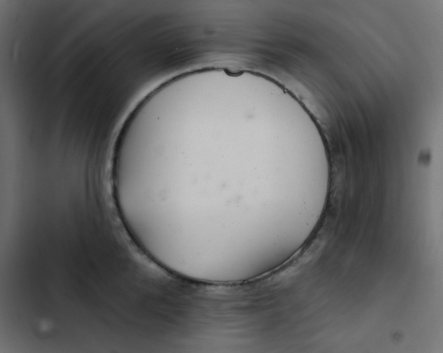 X0000103320904200809261133