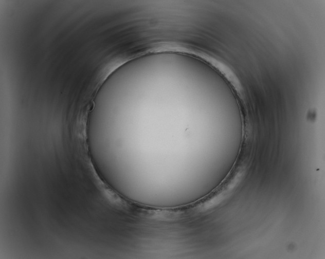 X0000103320905200809261133