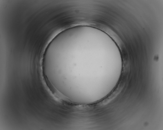 X0000103320906200809261133