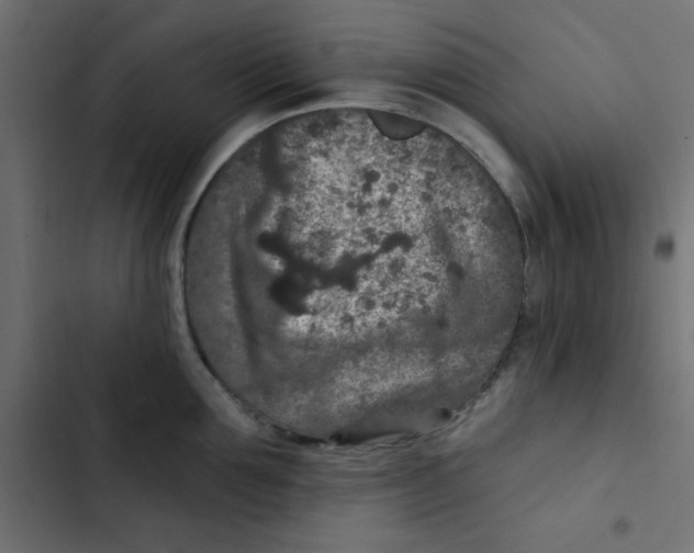 X0000103320907200809261133