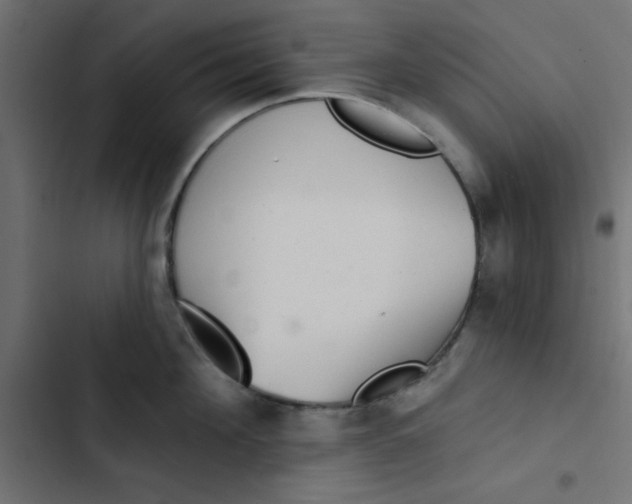 X0000103320908200809261133