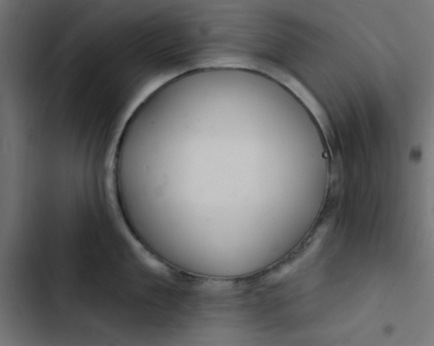 X0000103320909200809261133