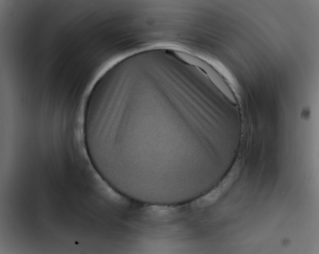 X0000103320910200809261133