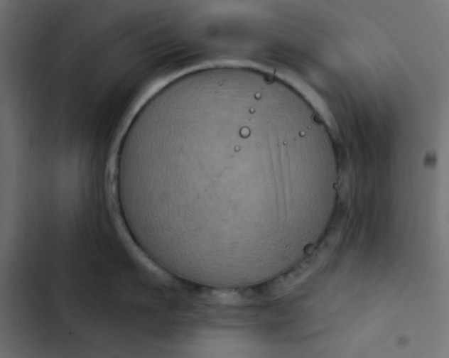 X0000103320911200809261133