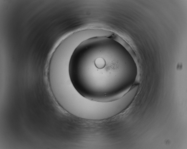 X0000103320912200809261133