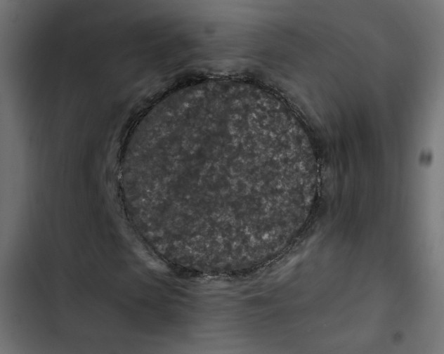 X0000103320913200809261132