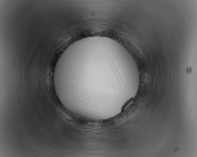 X0000103320914200809261132