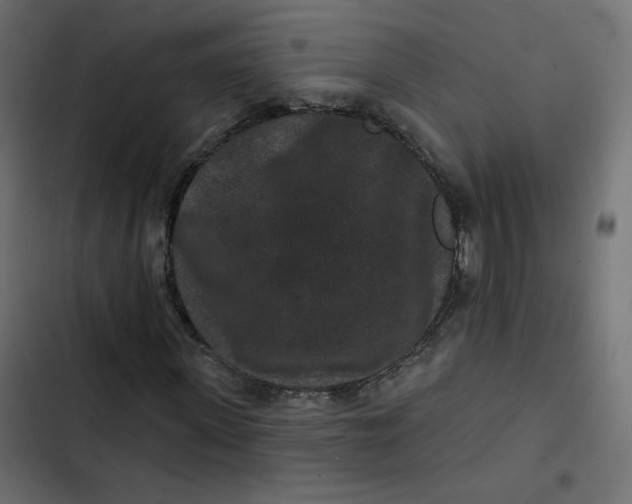 X0000103320915200809261132