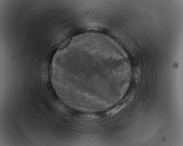 X0000103320916200809261132