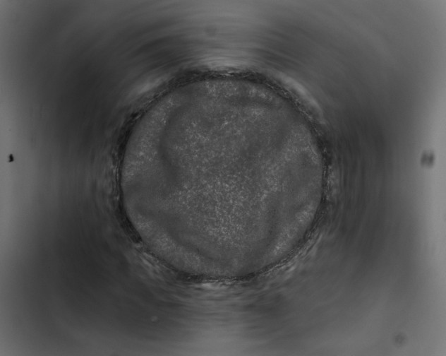 X0000103320917200809261132