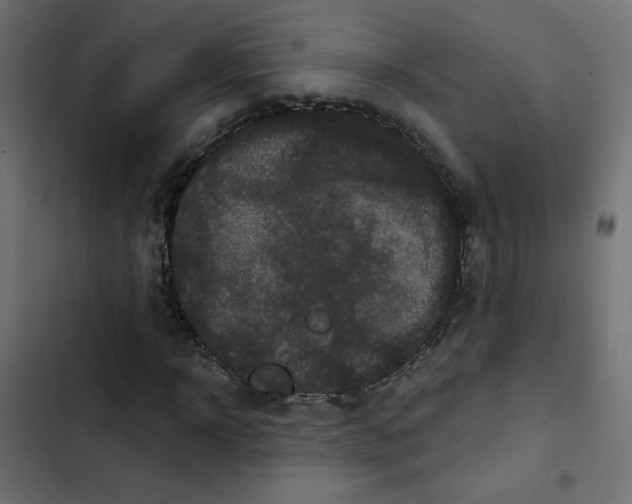 X0000103320918200809261132