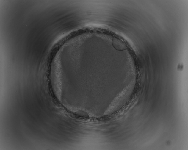 X0000103320919200809261132