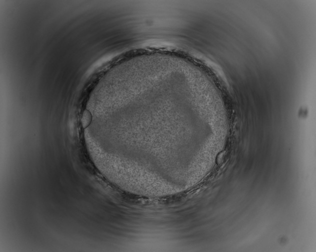 X0000103320920200809261132