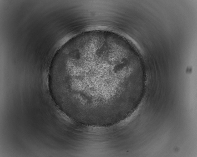 X0000103320921200809261132