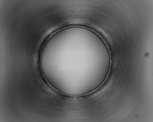 X0000103320922200809261132