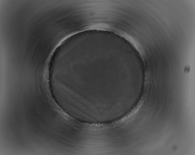 X0000103320923200809261132