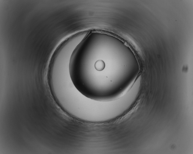 X0000103320924200809261132