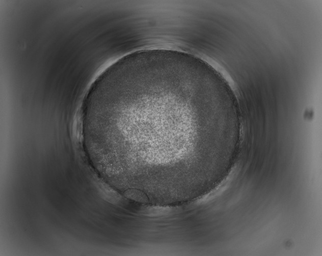 X0000103320925200809261132