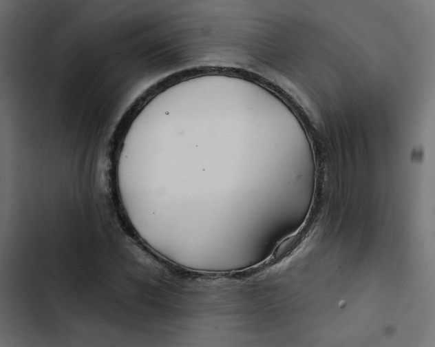 X0000103320926200809261132