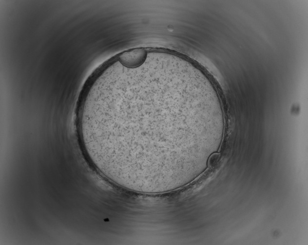 X0000103320928200809261133