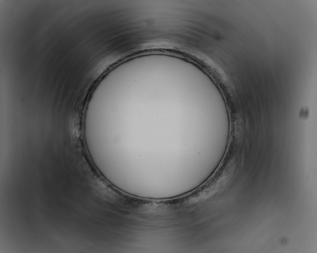 X0000103320929200809261133