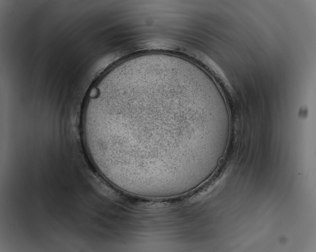 X0000103320930200809261133