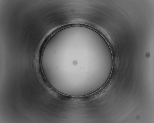 X0000103320931200809261133