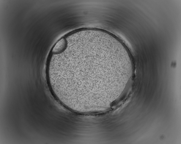 X0000103320932200809261133