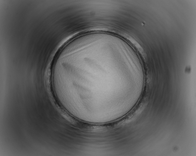 X0000103320933200809261133