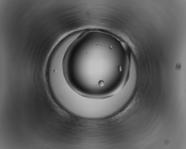 X0000103320934200809261133