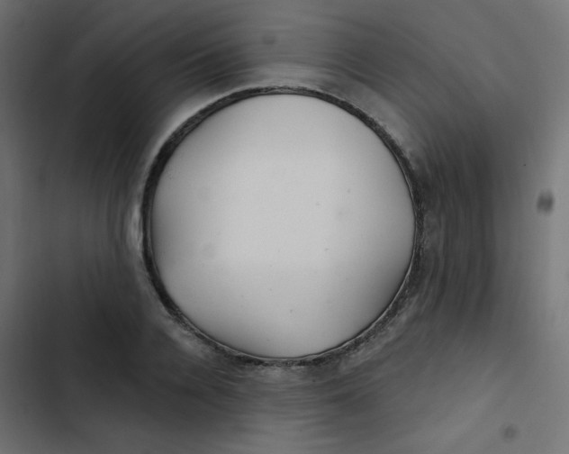 X0000103320936200809261133