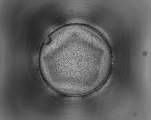 X0000103320937200809261133