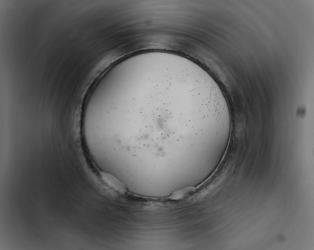 X0000103320938200809261133