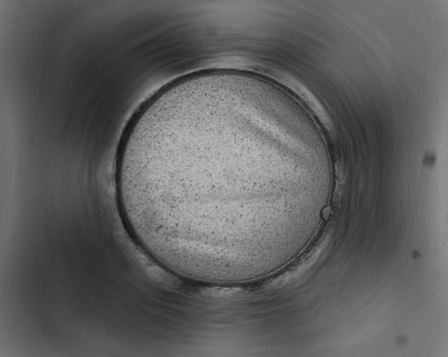 X0000103320939200809261133