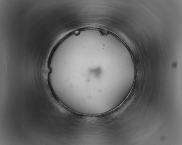 X0000103320940200809261133