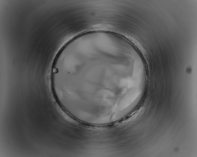 X0000103320941200809261133