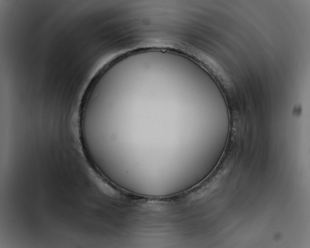 X0000103320942200809261133