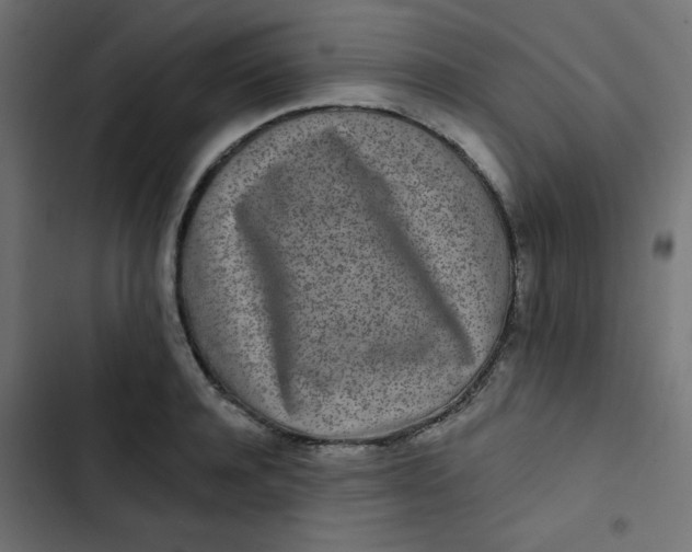 X0000103320944200809261133