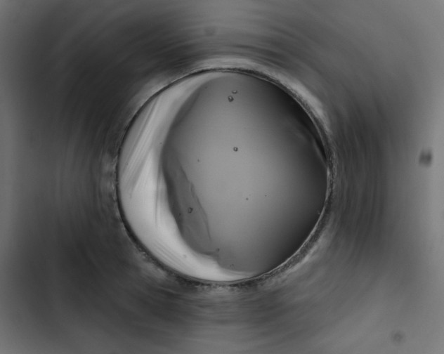 X0000103320945200809261133