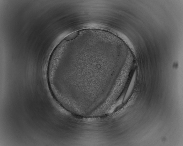 X0000103320946200809261133