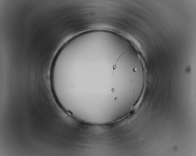 X0000103320947200809261133