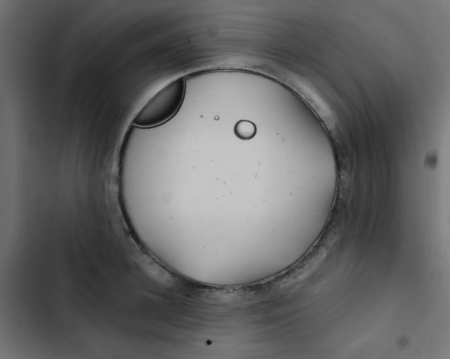 X0000103320948200809261133