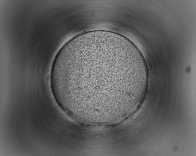 X0000103320949200809261133