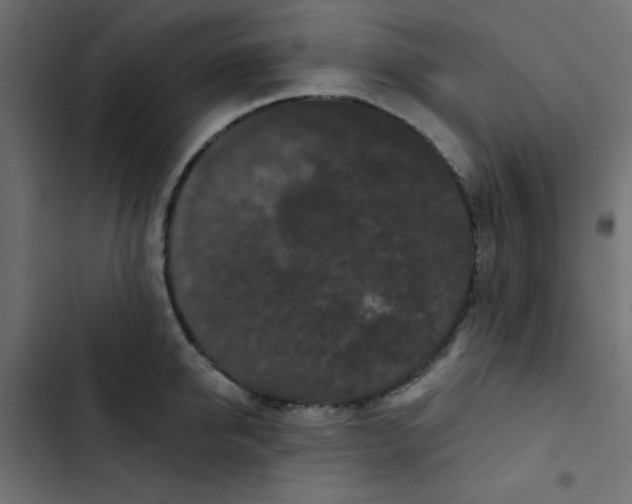 X0000103320950200809261133