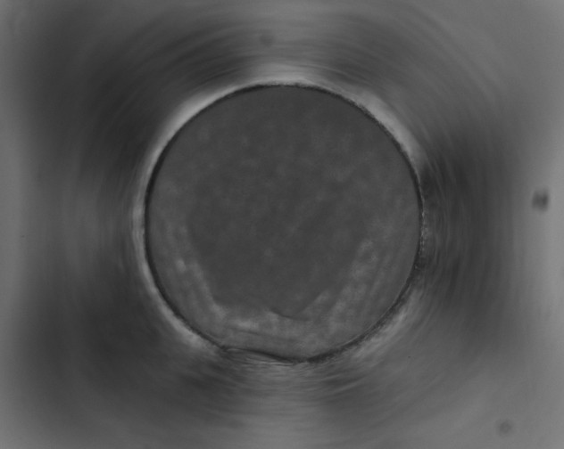 X0000103320951200809261133