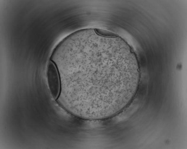 X0000103320952200809261133