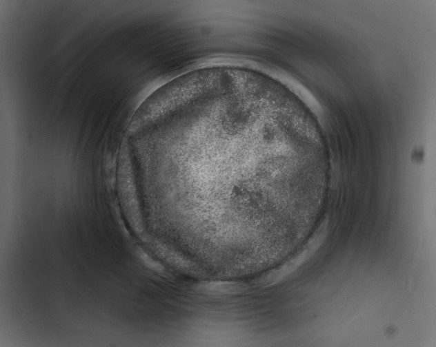 X0000103320953200809261133