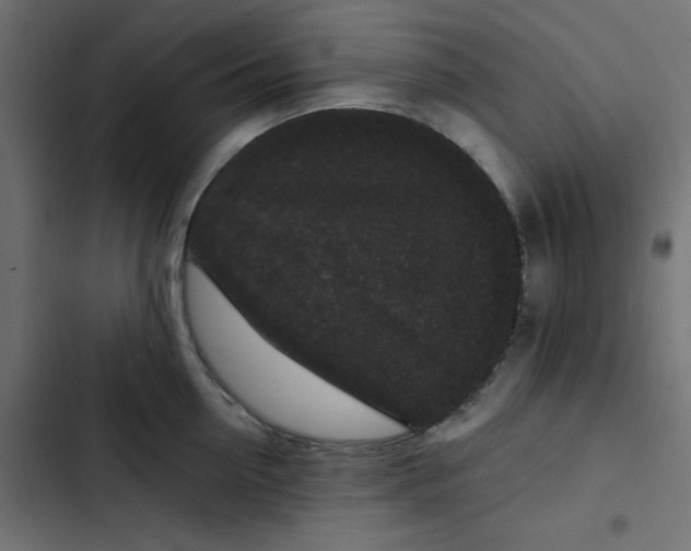 X0000103320954200809261133